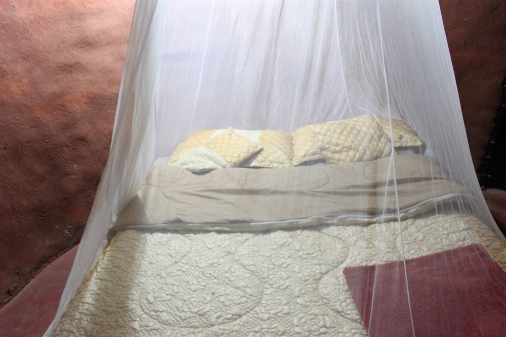 Zinga Backpackers Hotel Livingstone Luaran gambar